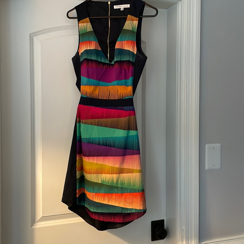 Tina Turk Dress
